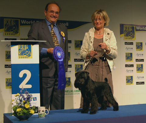 Fixus Hole In One som Junior World Winner på World Dog Show 2008